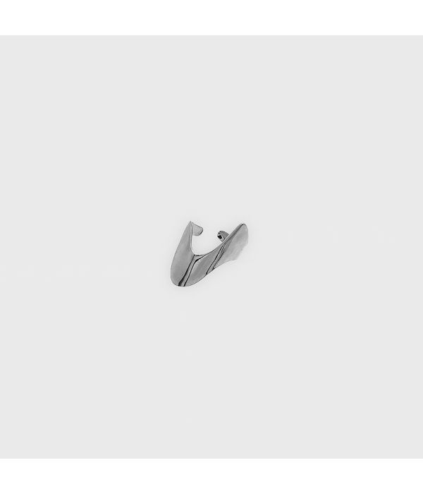 Anillo Espiral 2