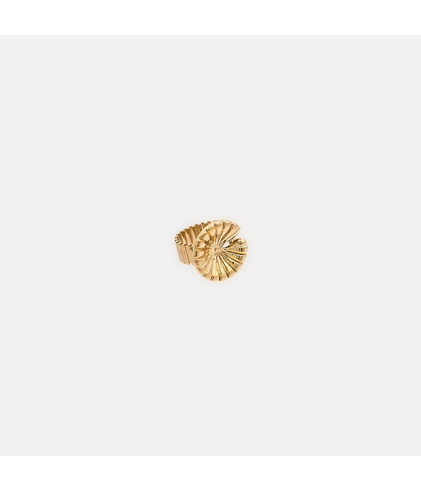Anillo Caracol