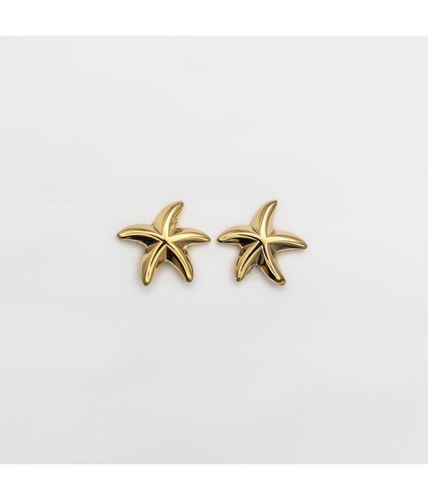 Pendiente Estrella de Mar